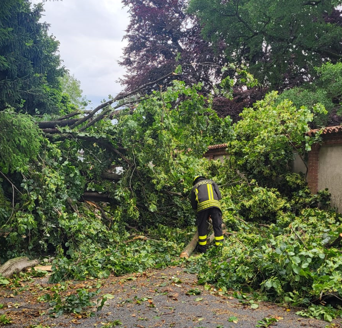 Tromba d'aria in Valle Elvo, si contano i danni