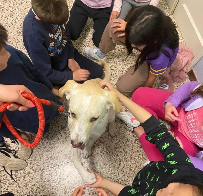 L'adozione consapevole insegnata ai bimbi: a Benna c'è “Un amico è per sempre”
