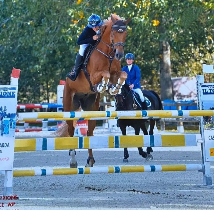 Nazionale A 5 Stelle a Tortona, buoni successi per la scuderia Il Rosignolo, foto fornite da Lucia Enea Nazionale A 5 Stelle a Tortona, buoni successi per la scuderia Il Rosignolo, foto fornite da Lucia Enea