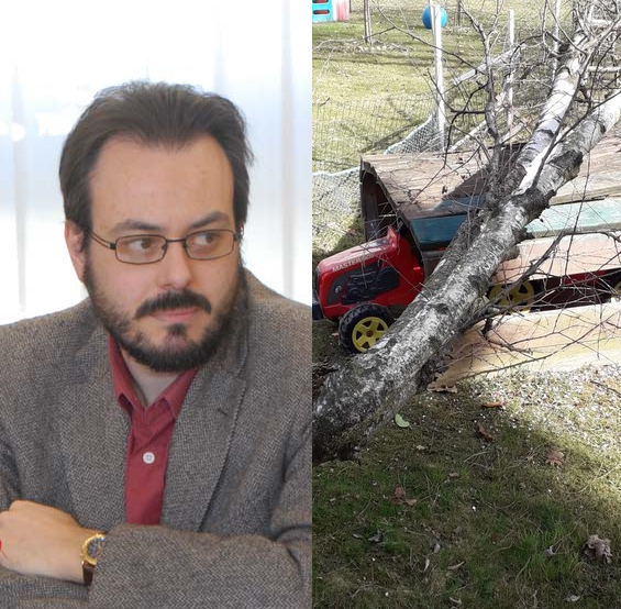 albero caduto cossato barbierato