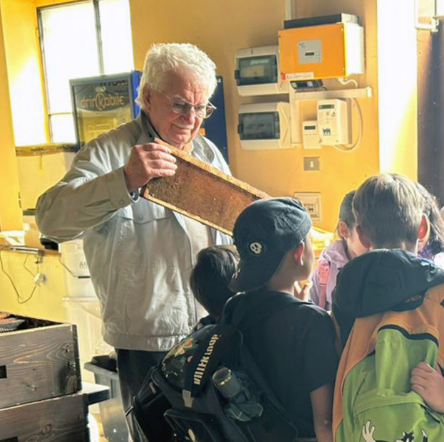 api nuraghe api nuraghe