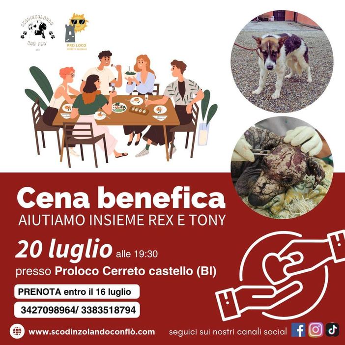 Una cena benefica per aiutare Rex e Tony