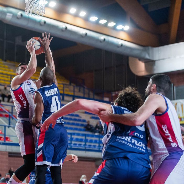 mantova basket biella