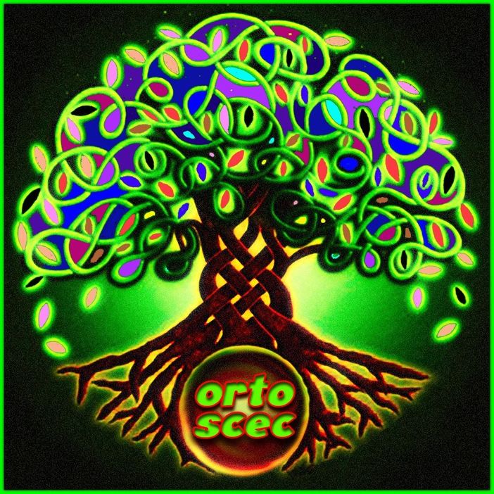 Occhieppo Inferiore: Con Ortoscec si impara l'orticoltura sostenibile