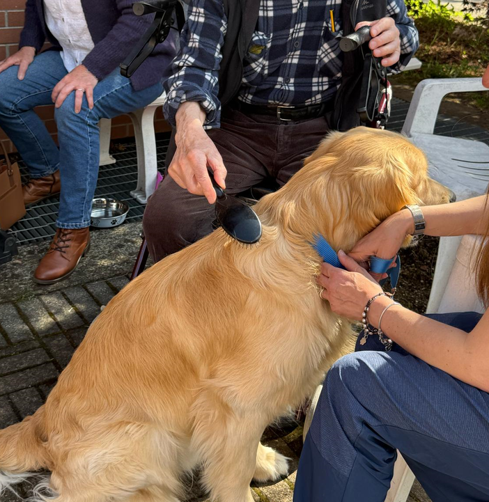 ronco biellese ronco biellese