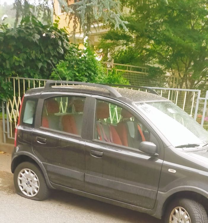 "Cronache eroiche a Chiavazza", una lettrice "Cronache eroiche a Chiavazza", una lettrice