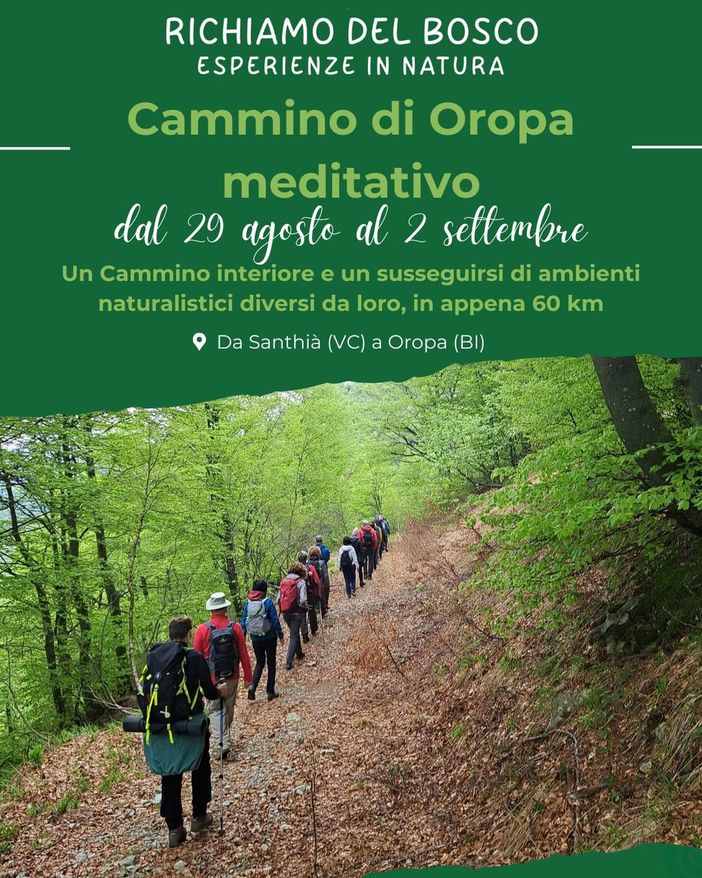 Richiamo del bosco: un percorso meditativo sul cammino di Oropa.