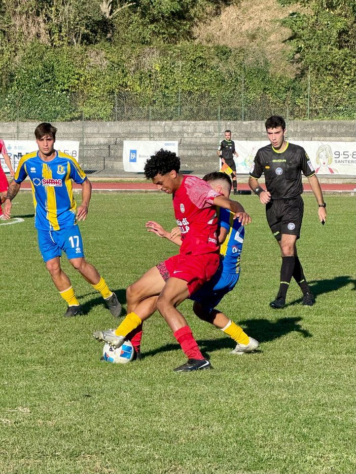 Biellese calcio: i risultati della Serie D, Girone A