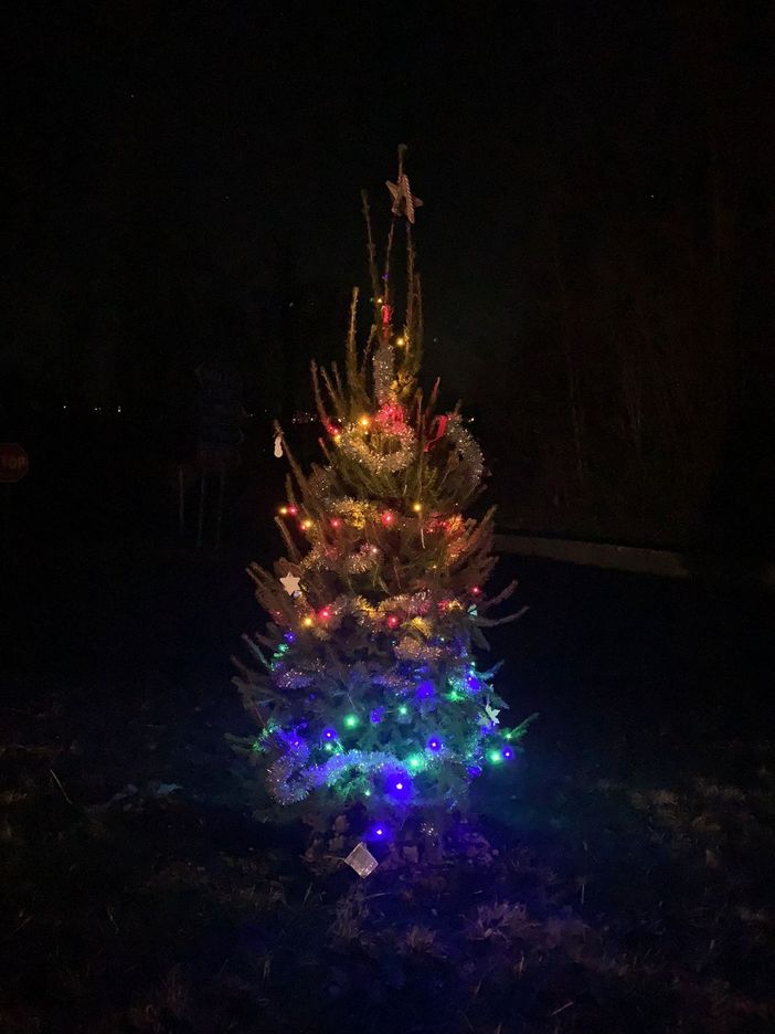 A Ronco Biellese rubato l’albero di Natale - Foto Carla Moglia A Ronco Biellese rubato l’albero di Natale - Foto Carla Moglia