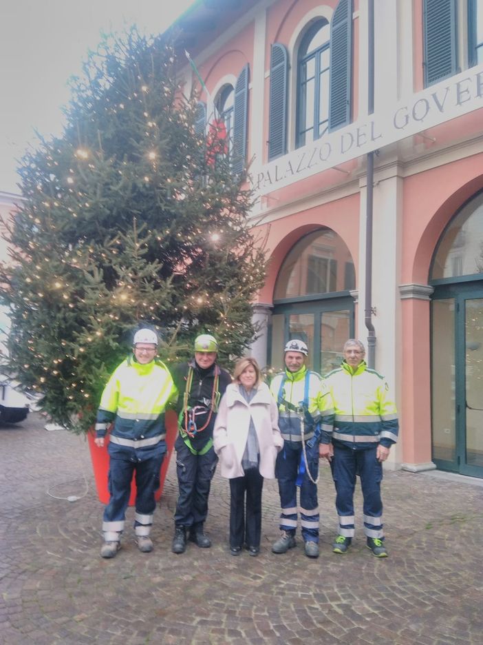 Biella: Anche il piazzale della Provincia ha il suo albero di Natale Biella: Anche il piazzale della Provincia ha il suo albero di Natale
