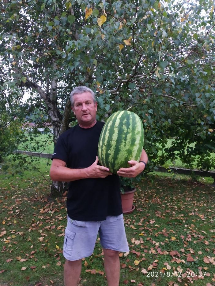 Anguria record a Mottalciata Anguria record a Mottalciata