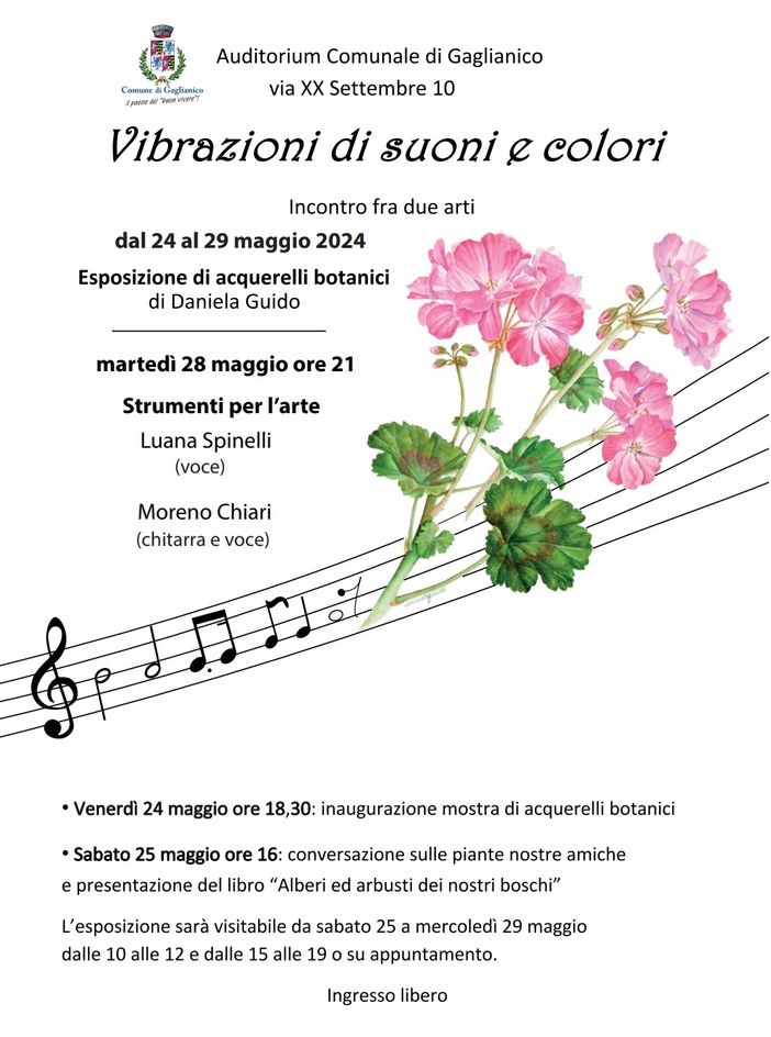 A Gaglianico si incontrano suoni e colori....