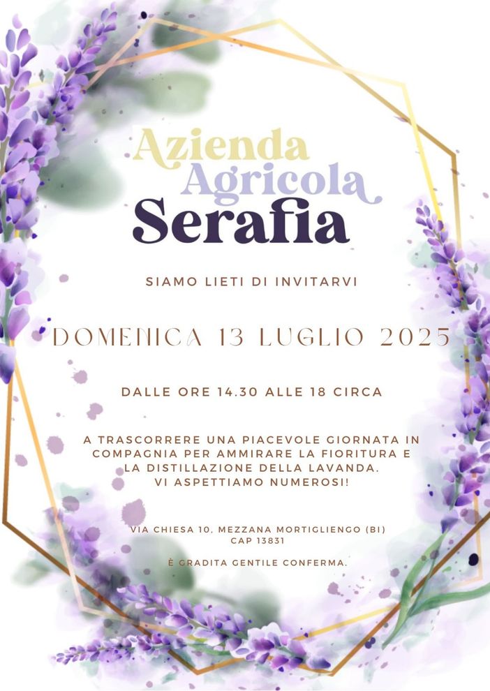 Lavanda in fiore: l’Azienda Agricola Serafia apre le porte al pubblico