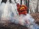 Allerta incendi: presidi AIB e Forestali nelle zone più a rischio