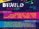 BIWild 2025, il Festival dei Giovani accende l’estate a Biella