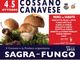 Cossano Canavese celebra i sapori d’autunno con la Sagra dei Funghi e il Progetto Polaris