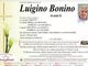 Luigino Bonino