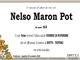 Nelso Maron Pot