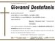 Giovanni Destefanis