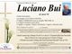 Luciano Bui