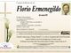 Florio Ermenegildo