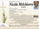 Nicola Melchiorre