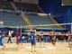 Prima Giornata Bear Wool Volley 2026, i risultati FOTO e VIDEO Mattia Baù per newsbiella.it