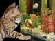 Il volume dell'acquario e la posizione della gabbia per i volatili nel regolamento per la tutela degli animali di Castelletto Cervo