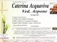 Caterina Acquaviva, ved. Arpone