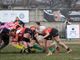 Biella Rugby travolgente a Casale: 63-0 e vetta confermata