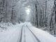 Piemonte, allerta gialla per neve nei settori meridionali e per valanghe sui rilievi occidentali (foto di repertorio)