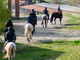 Natura, cavallo e uomo: a Salussola protagonisti gli studenti del Bona