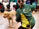 Biella, studenti del Bona a lezione di Pet Therapy con una “prof” davvero speciale
