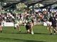 Rugby, Soladria Serie A Elite: Petrarca si impone alla Cittadella del Rugby di Biella, finisce 73-19, foto Antonio Mantovan Rugby, Soladria Serie A Elite: Petrarca si impone alla Cittadella del Rugby di Biella, finisce 73-19, foto Antonio Mantovan