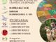 A Camburzano “Girogiochi!”: un carosello di giochi per bambini e famiglie