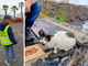 Dall'amore per gli animali alla cura delle colonie feline: Alessandro Argentero volontario a Tenerife Dall'amore per gli animali alla cura delle colonie feline: Alessandro Argentero volontario a Tenerife