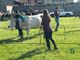 Pasquetta a Ponderano: la Fiera Zootecnica torna protagonista tra tradizione, animali e stand (servizio di Massimo Giacobbe)
