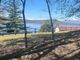 Viverone, attiva e fruibile l’area picnic di Punta Becco (foto dalla pagina Facebook di Comune di Viverone) Viverone, attiva e fruibile l’area picnic di Punta Becco (foto dalla pagina Facebook di Comune di Viverone)