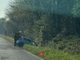 Auto fuori strada a Salussola, intervengono i Carabinieri Auto fuori strada a Salussola, intervengono i Carabinieri