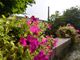 Giardino privato di Ermenegildo Zegna, in calendario due visite guidate speciali