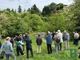 Biella, la Festa del Maj al ponte della Maddalena nel ricordo di Tavo Burat (servizio di Davide Finatti per newsbiella.it)