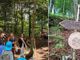 Netro, oltre 100 persone all’inaugurazione del Bosco delle Fate