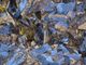 Biella, a Cossila San Grato una mostra scambio di minerali e fossili (foto di repertorio)