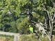 Bloccati sulla ferrata della Falconera, soccorsi due escursionisti nella vicina Valsesia