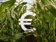 Pagamenti Pac, il Piemonte accelera: erogati 336 milioni agli agricoltori