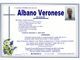 Albano Veronese