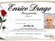 Enrico Drago, Proiezionista