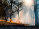 Incendi in Piemonte, oltre 800 ettari di bosco distrutti