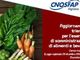 Cnos Fap Vigliano: aperte le iscrizioni al corso di aggiornamento Haccp Cnos Fap Vigliano: aperte le iscrizioni al corso di aggiornamento Haccp