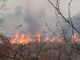 revoca incendi boschivi